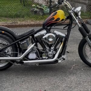Harley-Davidson Evo Tough Guy Style Chopper