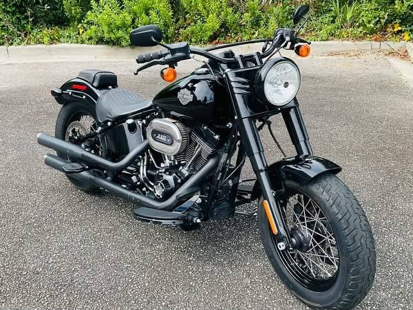 2016 Harley-Davidson Softail Slim 110 Screamin Eagle Low Miles - Image 9
