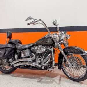 2004 Harley-Davidson Heritage Softail Classic FLSTCI Custom Paint And Apes