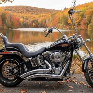 2010 Harley-Davidson FXSTC Softail Custom motorcycle