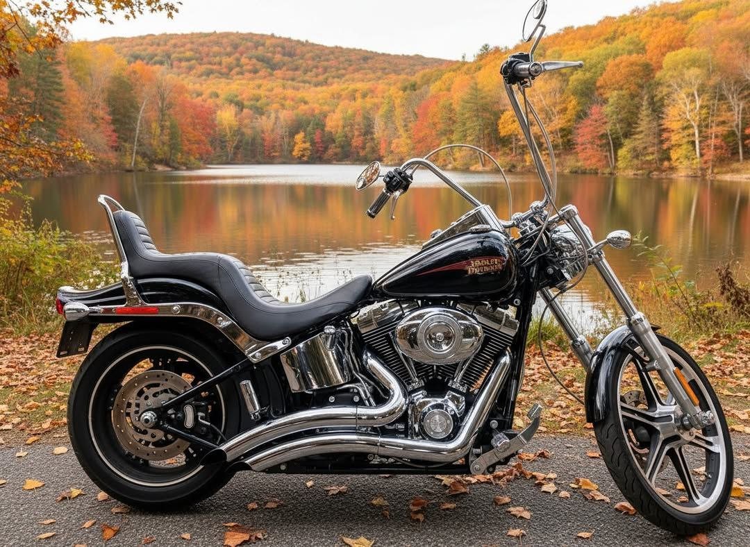 2010 Harley-Davidson FXSTC Softail Custom motorcycle