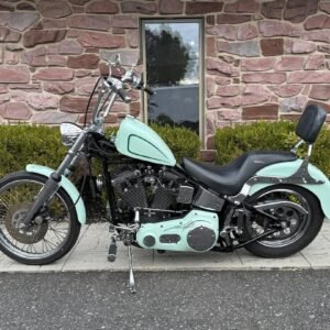 1997 Harley-Davidson Evo Softail Bad Cop No Donut Chopper