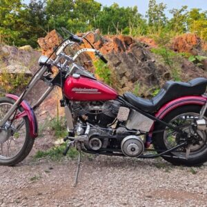1959 Harley-Davidson FL Panhead Chopper with original matching cases and vintage custom styling