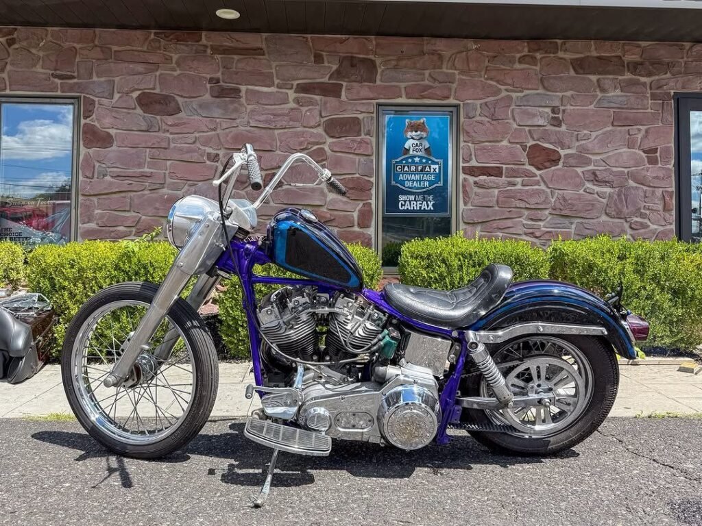 1982 Harley-Davidson Shovelhead FLH custom bobber chopper motorcycle