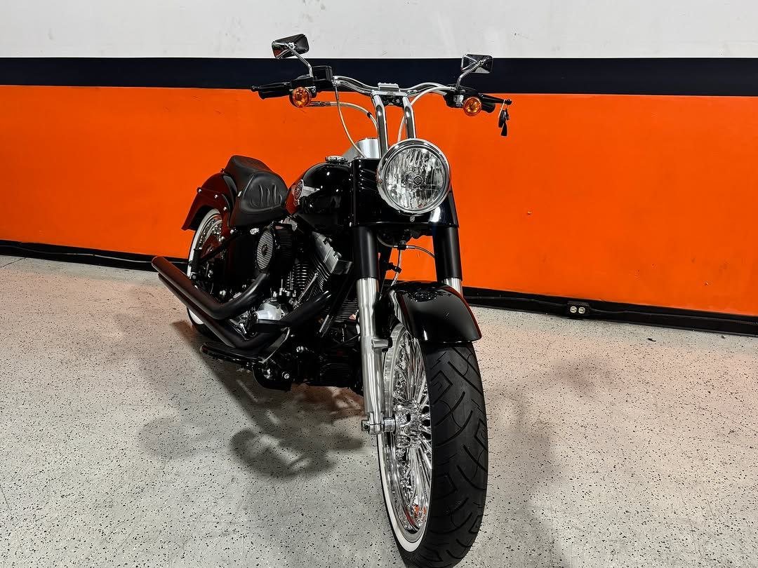 2010 Harley-Davidson Softail Fat Boy Lo FLSTFB - Image 3